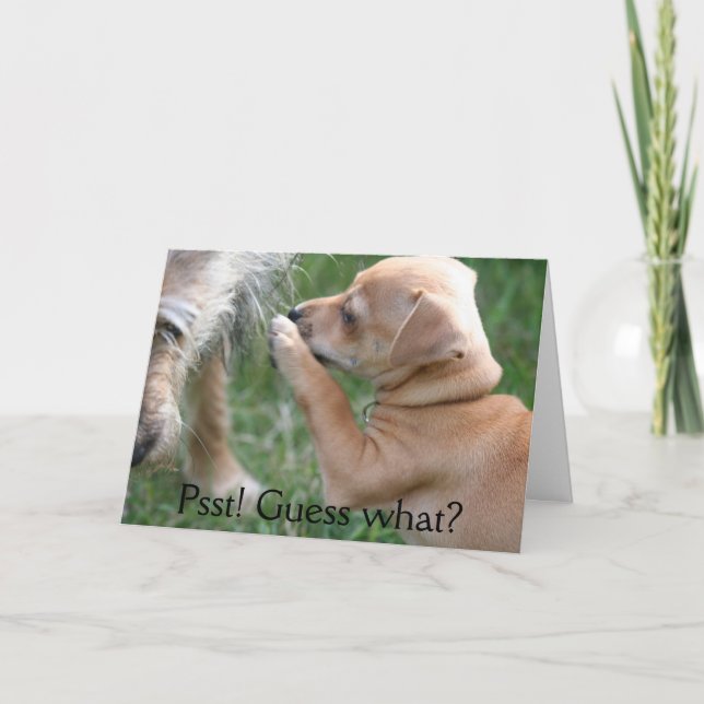 Carte Psitt ! Conjecture ce qui ? (Devant)