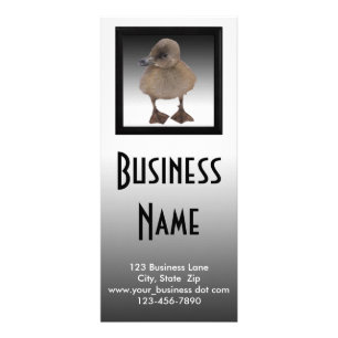 Carte Publicitaire Adorable Grey Duckling Photographie Affaires