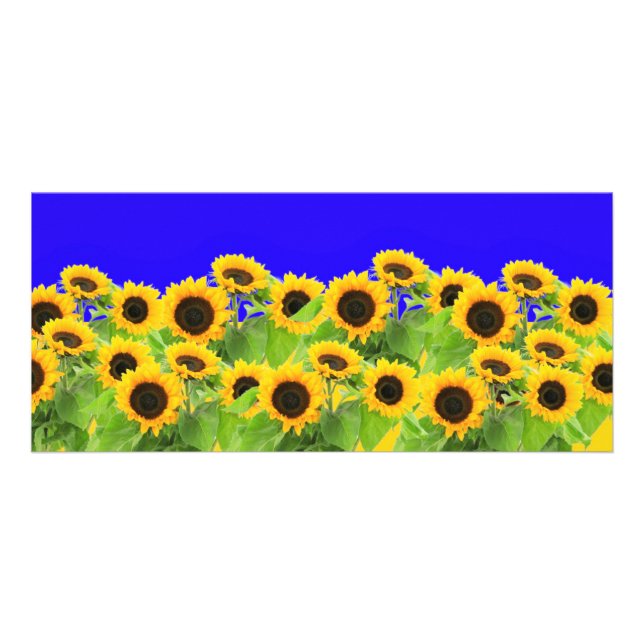 Carte Publicitaire Fleurs de soleil - drapeau ukrainien Paix Liberté  (Devant)