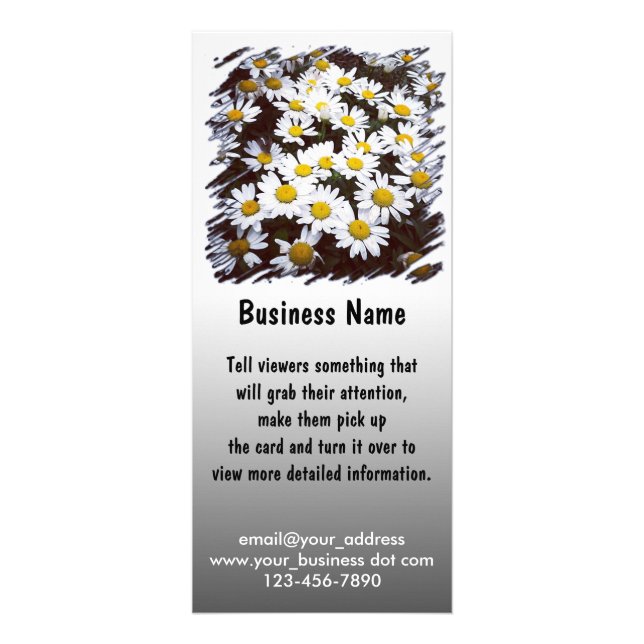 Carte Publicitaire Photographie de Shasta Daisies (Devant)