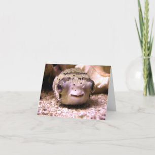 Carte Pufferfish du Blowfish de Helaine