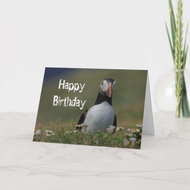 Carte Puffin Anniversaire Salutations (Devant)