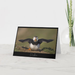 Carte Puffin de vidange