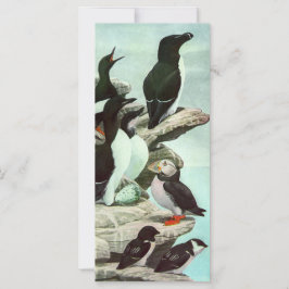 Carte Puffins vintages et oiseaux aquatiques de Louis Fu