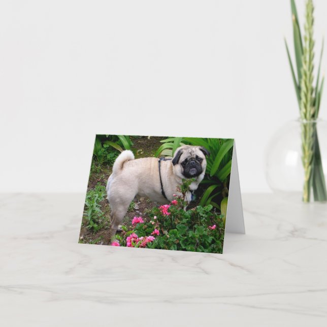 Carte Pug Puppy Dog Blank Greeting Note (Devant)