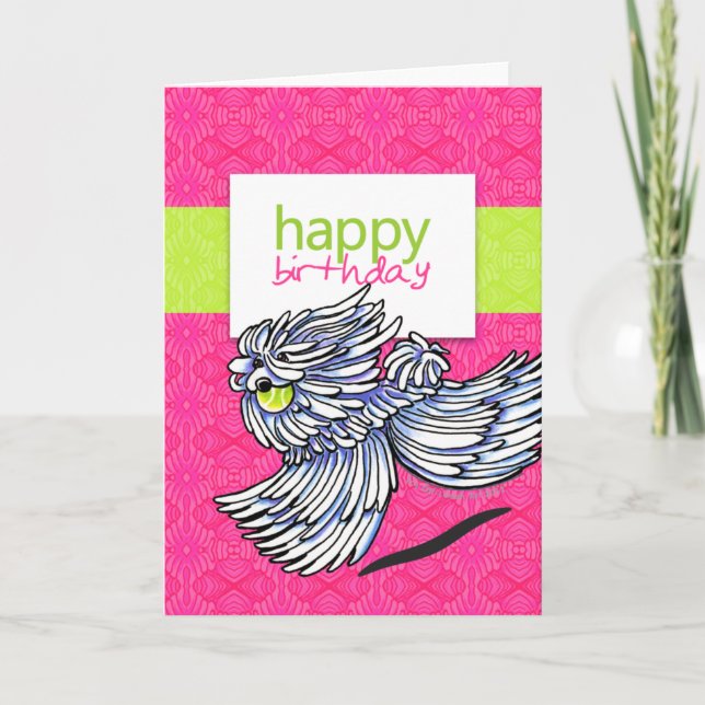 Carte Puli Komondor Strawberry Kiwi Joyeux anniversaire (Devant)