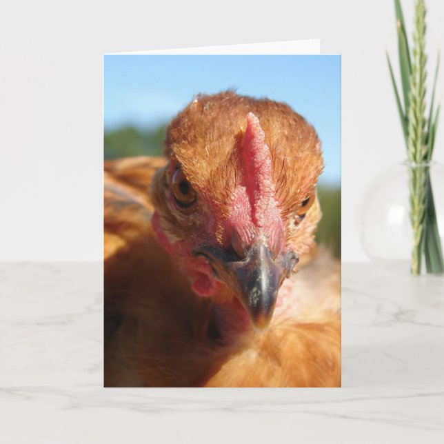 Carte Pullet Turkin (Devant)