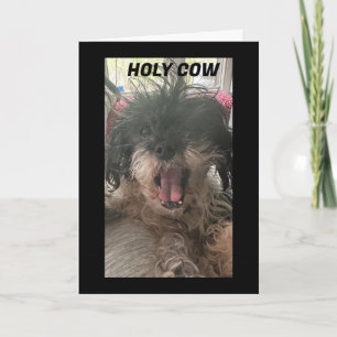 CARTE PUP EST BAFFLED-COMMENT VOUS AVEZ TOURNÉ 50