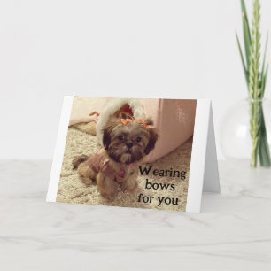 CARTE PUP PORTE SES LIVRES À VOTRE ANNIVERSAIRE