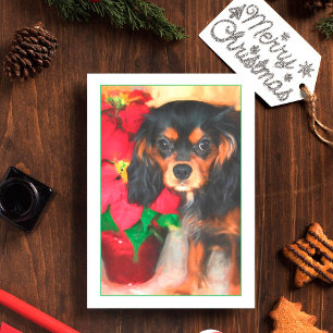Carte Puppy Cavalier King Charles Poinsettia