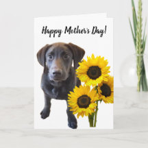 Puppy et Sunflower de Black Lab