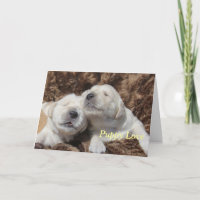 Puppy Love Greeting Card par Focus pour une cause