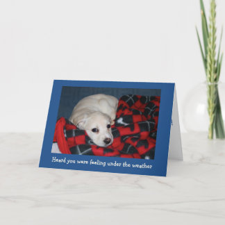 Carte Puppy s'en sort bien
