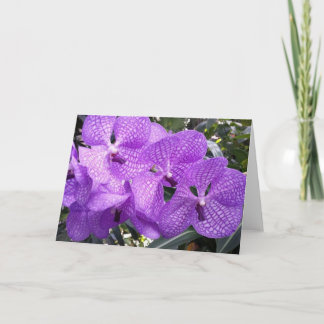 Carte Purple glory à Giverny, France