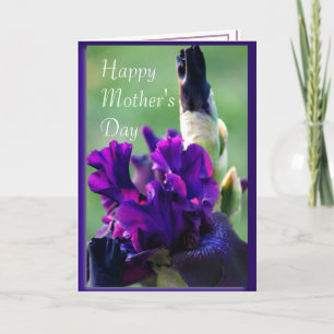Carte Purple Iris 2914xc- personnaliser à toute occasion