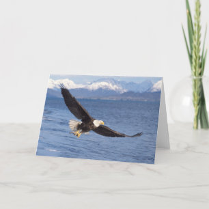Carte pygargue à tête blanche, Haliaeetus leucocephalus,
