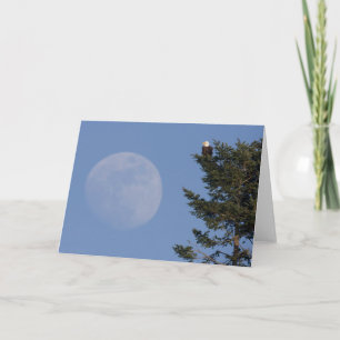 Carte Pygargue à tête blanche   Pleine lune montante