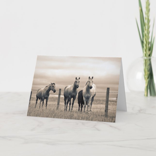 Carte Quart De Chevaux Sur Les Prairies Canadiennes (Devant)