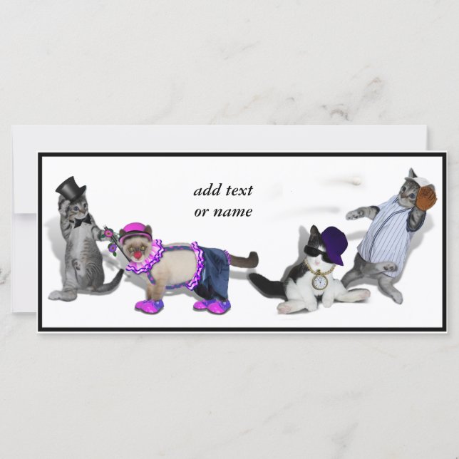 Carte Quatre Chatons En Jeu (Devant)