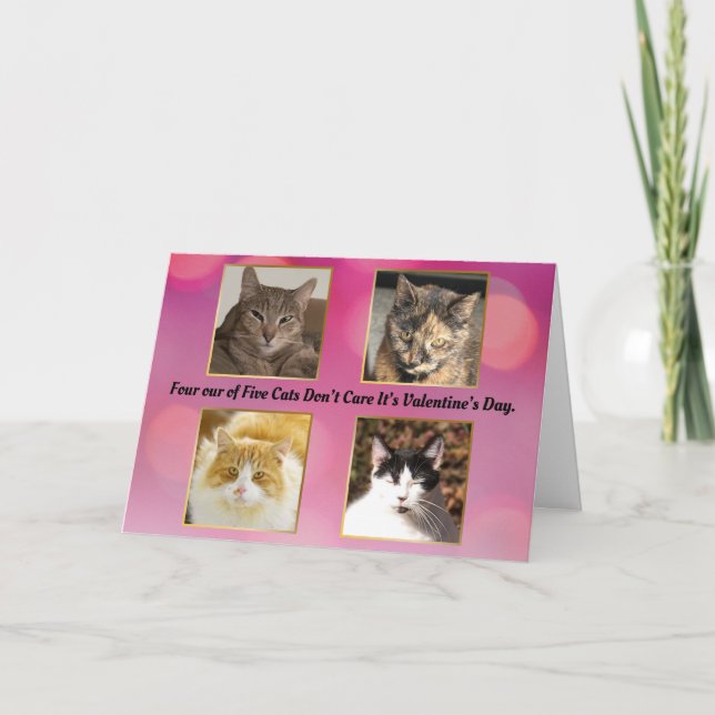 Carte Quatre chats sur cinq ne se soucient pas de la Sai (Devant)