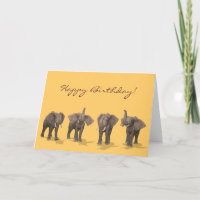 Quatre éléphants de trompette
