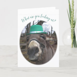 Carte "Que regardez-vous ?"