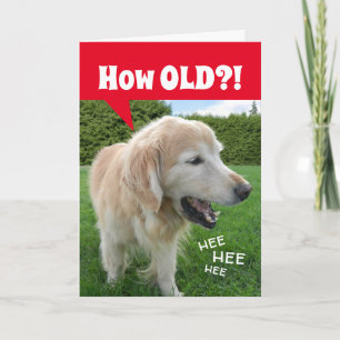Carte QUEL ÂGE ? ! Rire Golden Retriever Dog Anniversair