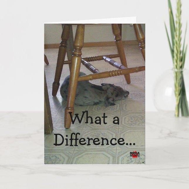 Carte Quelle différence par année fait ! ! ! ! (Devant)