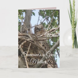 Carte Quelqu'un est la meilleure mère | Baby Owl in Tree