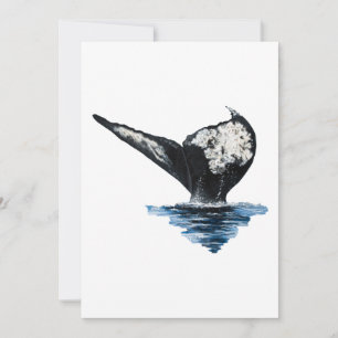 Carte Queue de baleine