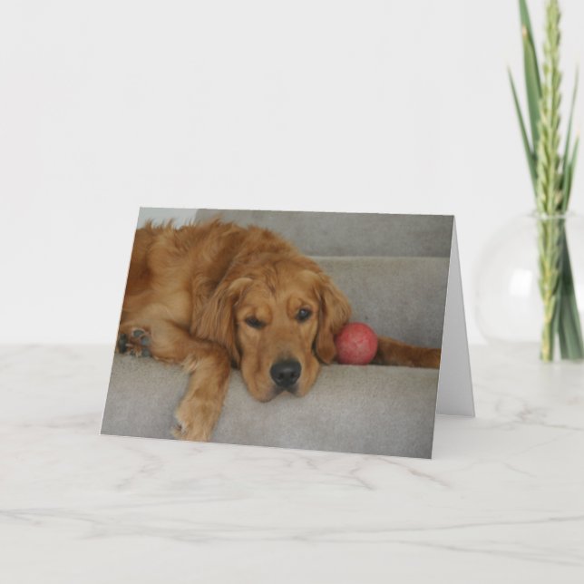 Carte qui vous manque (Devant)