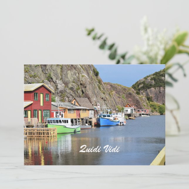 Carte Quidi Vidi, Terre-Neuve (Debout devant)