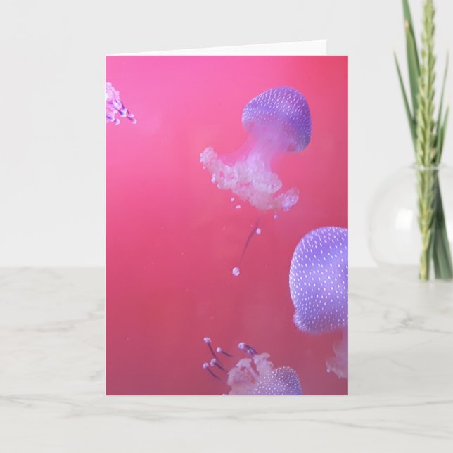 Carte Quirky Jellyfish in the Pink Water (Devant)