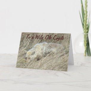 Carte R13 Coyote en herbe haute