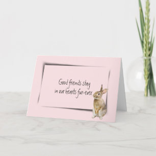 Carte Rabbit Pet Perdre la sympathie sur rose