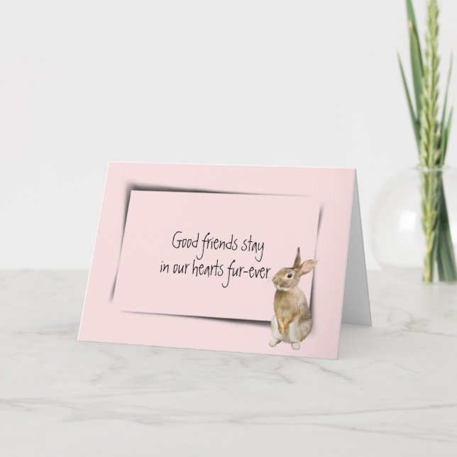 Carte Rabbit Pet Perdre la sympathie sur rose (Devant)