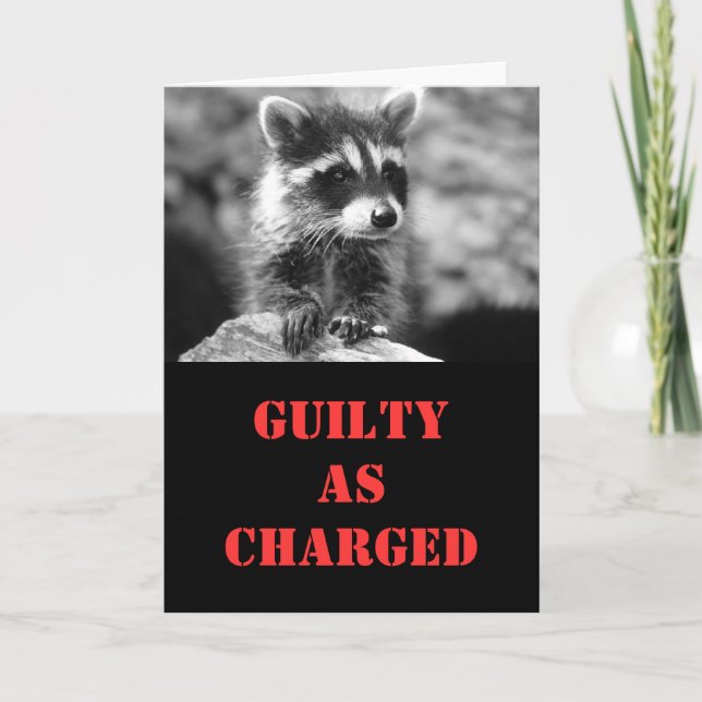 Carte Raccoon Anniversaire (Devant)