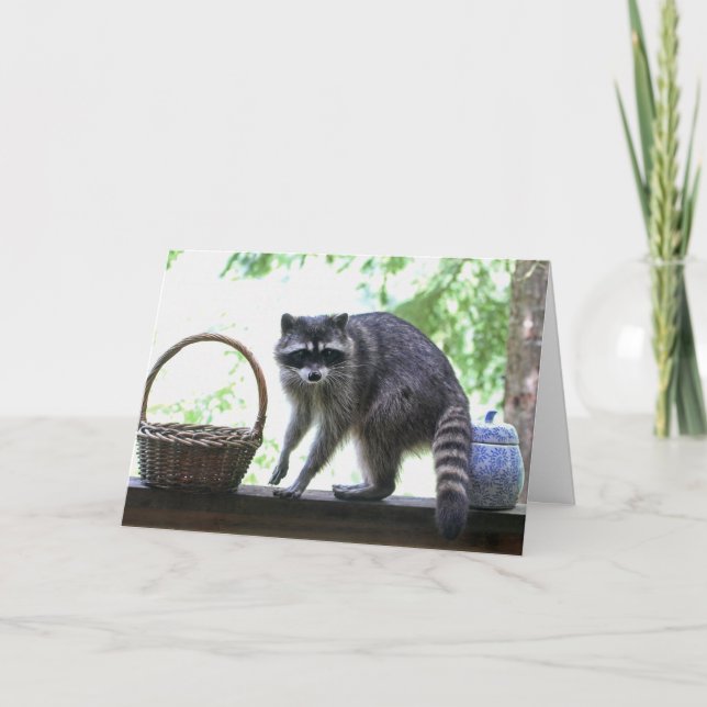 Carte Raccoon et Cookie Jar (Devant)