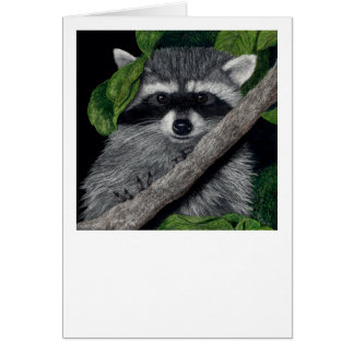 Carte Raccoon "Local Bandit"