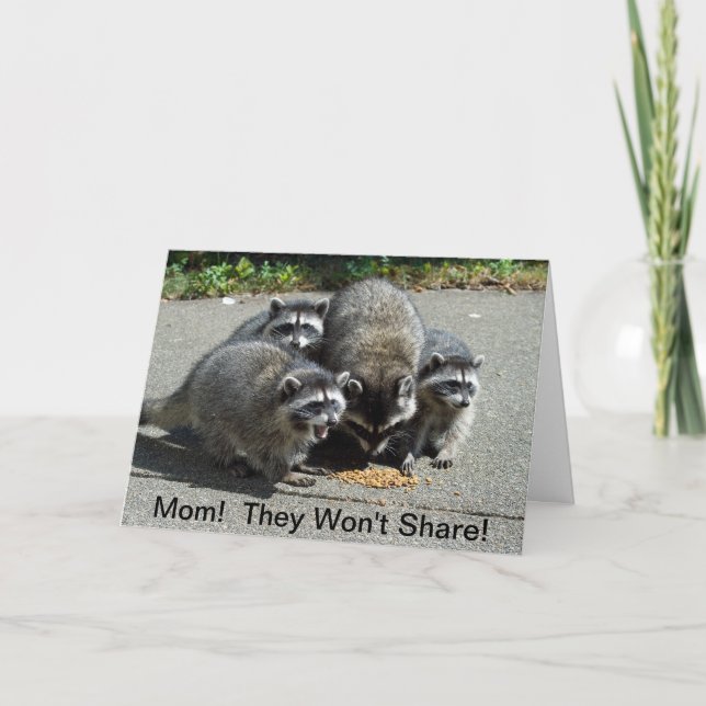 Carte Raccoon Maman & Bébés (Devant)