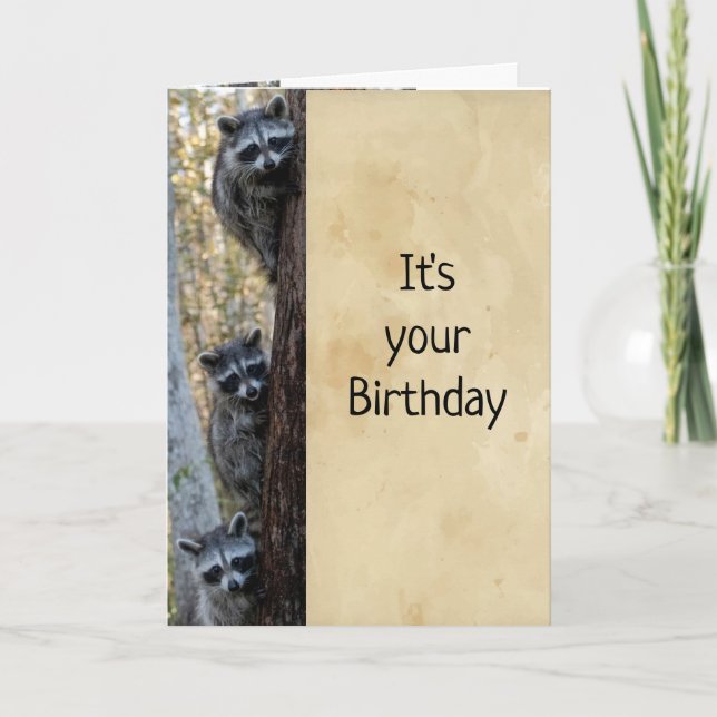 Carte Raccoons & I ici pour souhaiter un Humour d'annive (Devant)