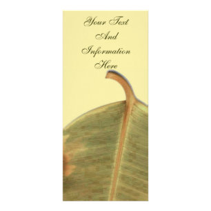 Carte rack de congé vert