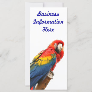Carte rack Signet Scarlet Macaw