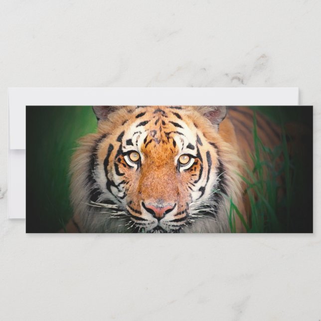 Carte rack Tiger (Devant)