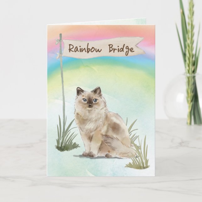 Carte Ragdoll Chat Animaux Sympathie sur Rainbow Bridge (Devant)