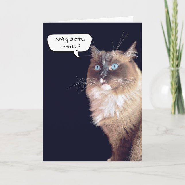 Carte Ragdoll Chat Humour d'anniversaire (Devant)