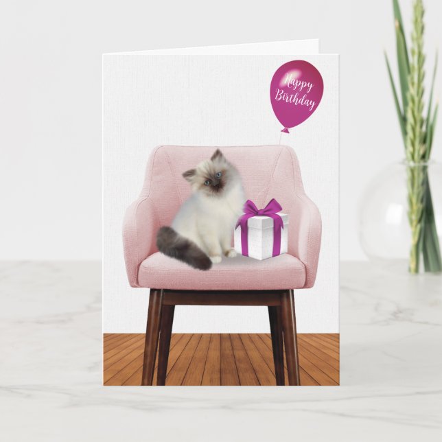 Carte Ragdoll Kitten Avec Cadeau Anniversaire (Devant)