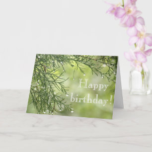 Carte Raindrys sur Pine Birthday Card