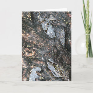 Carte Rainy Day Tree Roots Puddle Nature Photographie