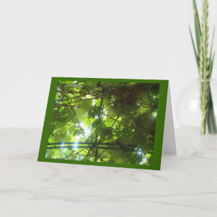 Carte Raisins de patience à la frontière